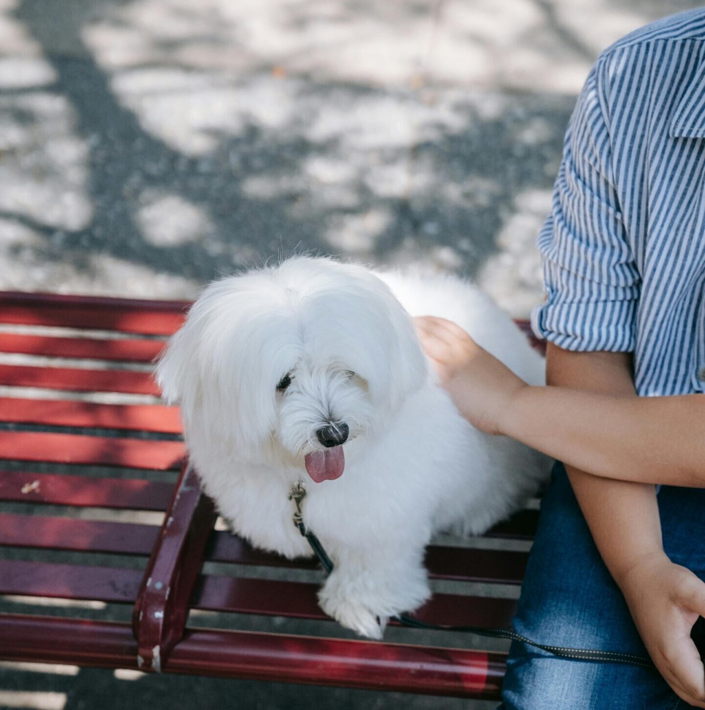 pexels-katya-wolf-9428693